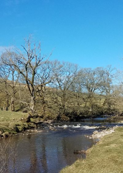 Downstream of the bridge