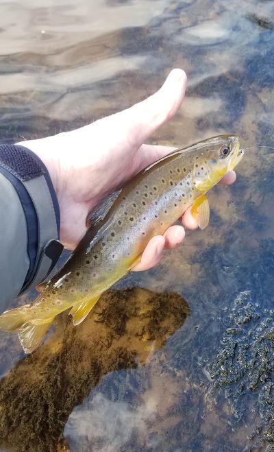 First of the season