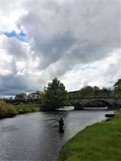 Angler, wild light