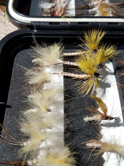 CDC Mayflies - and Mohicans