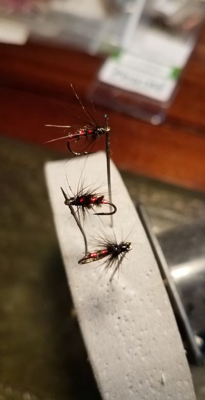 Peacock and Red