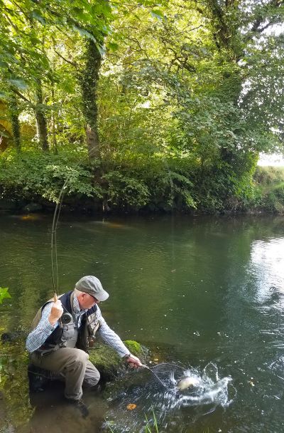 One on the Dink