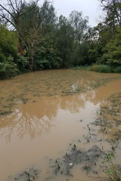 Mucky chalkstream