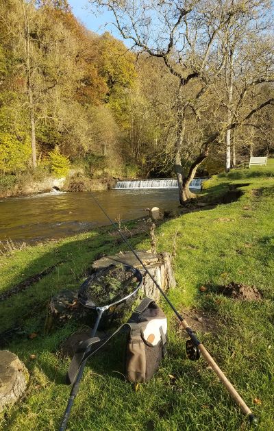Kit by river